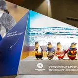 Penguin Parade Visitor Centre