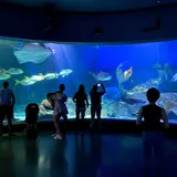 メルボルン水族館