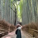 嵯峨野 竹林の道