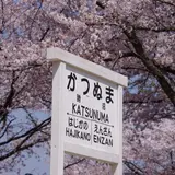 甚六桜公園