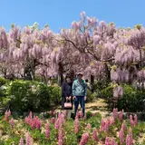 世羅幸水農園