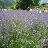 裾花緑地