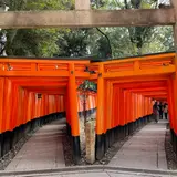 京都駅から30分🚃伏見・宇治の見どころ巡り🚶‍♀️本場のお茶体験も🍵