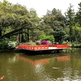 春日大社　萬葉植物園（神苑）