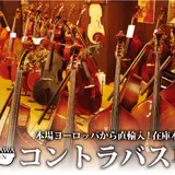 クロサワ楽器 日本総本店