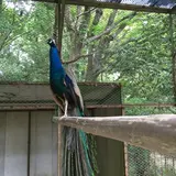 茨城県鳥獣センター