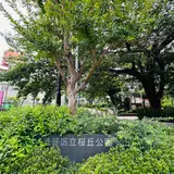 渋谷区立桜丘公園