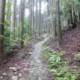 熊野古道 丸山千枚田・通り峠コース