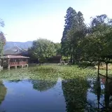 池の山キャンプ場