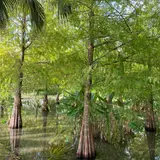 豊之谷自然生態公園