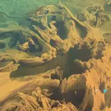 魚津埋没林博物館