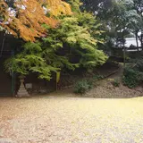 岩上神社の巨石