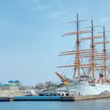 新湊大橋