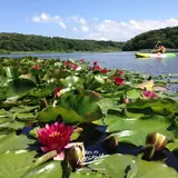 小川原湖カヤックラボ