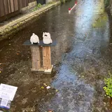木屋町通