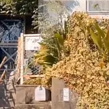 サイガバレエ研究所