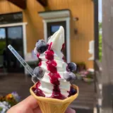 ぶるーべりーガーデンカフェ