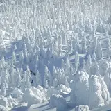 八甲田山の樹氷