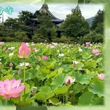 信濃国分寺
