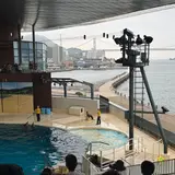 下関市立しものせき水族館・海響館