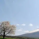 岩手山（南部片富士）
