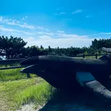 小の口公園