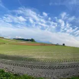 美瑛町　丘