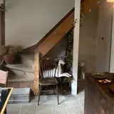 シロテナリ