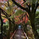 光悦寺