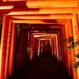 広坂稲荷神社