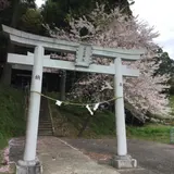 八幡神社から見える 桜並木