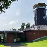 杉沢の沢スギ