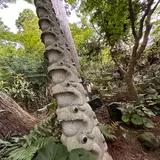 如意輪寺 （かえる寺）