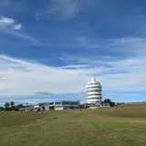 潮岬望楼の芝