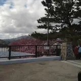 谷津