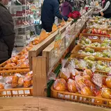 古賀市コスモス館