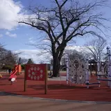 松ヶ岡公園