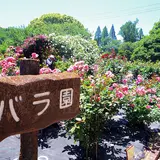西山公園