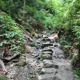 6号路