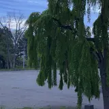 盛岡城跡公園 (岩手公園)