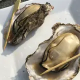 宮島の宿 さくらや