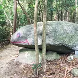 猿投山 カエル石