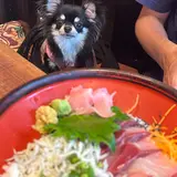 磯料理 天海