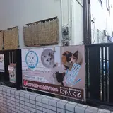猫カフェ にゃんくる 鎌倉店