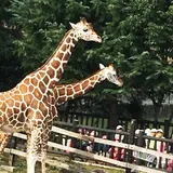 福山市立動物園