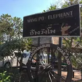 Wangpo Elephant Camp