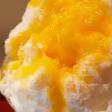 【夏の谷根千さんぽ】人気のカフェ・パン・カキ氷を散策