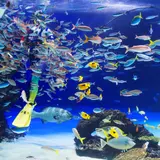 サンシャイン水族館