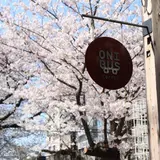 お花見のお供にはコーヒーを！☕️人気No.1桜スポット【中目黒】でお花見カフェ巡り🌸