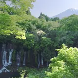 白糸の滝 展望台
